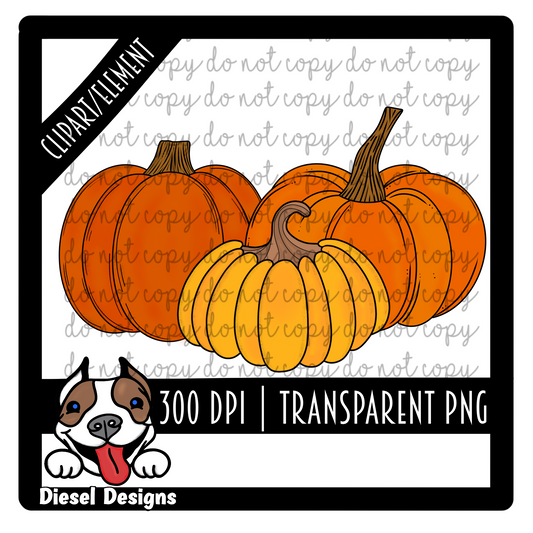 3 Pumpkins  | 300 DPI | Transparent PNG | Clipart |