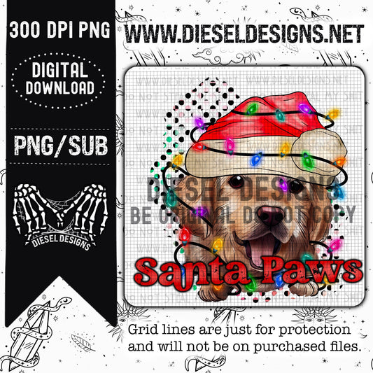 Puppy 16 | 300 DPI | Transparent PNG |