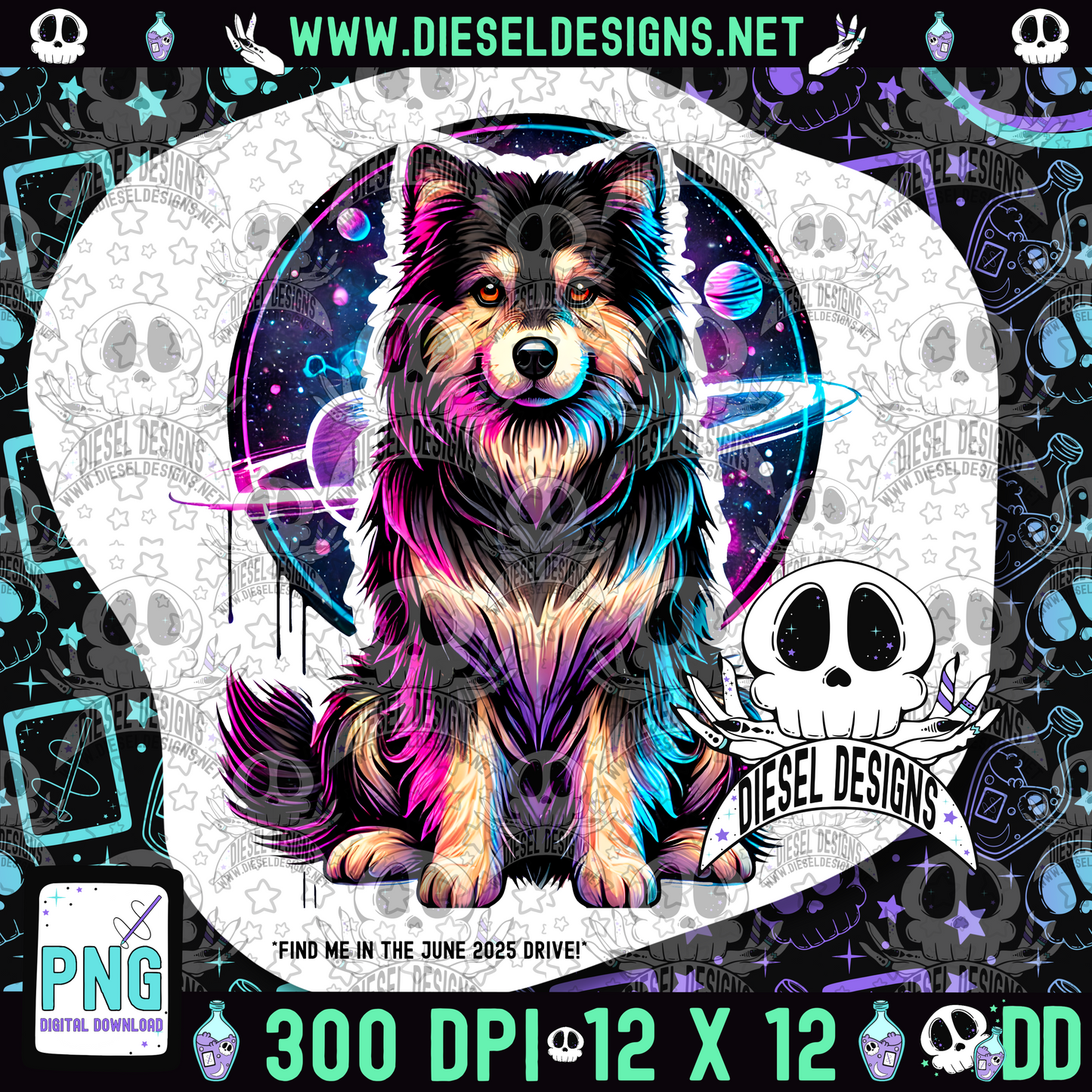 Galaxy Compfy Dog V2 PNG  | 300 DPI | Transparent PNG | Digital File Only