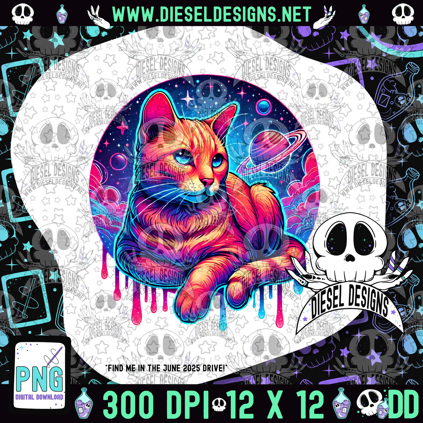 Galaxy Cat V1 PNG  | 300 DPI | Transparent PNG | Digital File Only